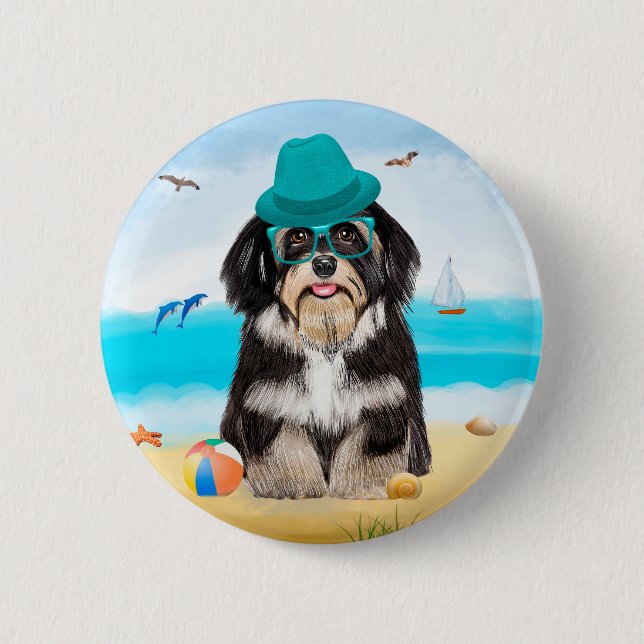 Havanese Hund on Beach Knapp (Framsida)