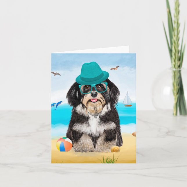 Havanese Hund on Beach Kort (Framsida)
