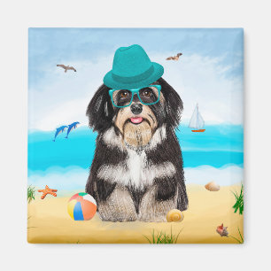 Havanese Hund on Beach Magnet