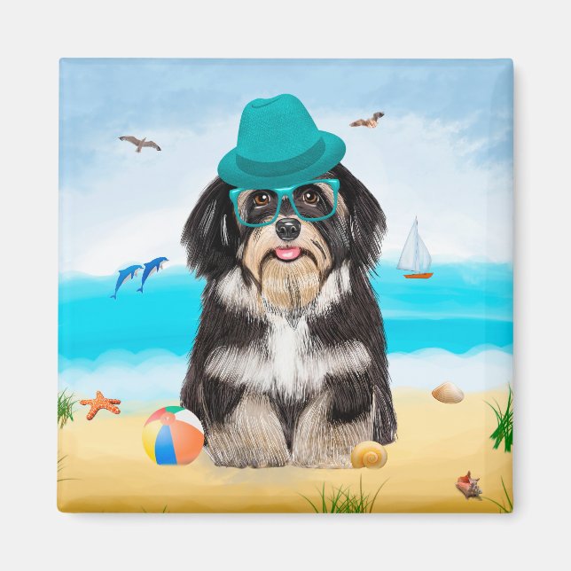 Havanese Hund on Beach Magnet (Framsidan)