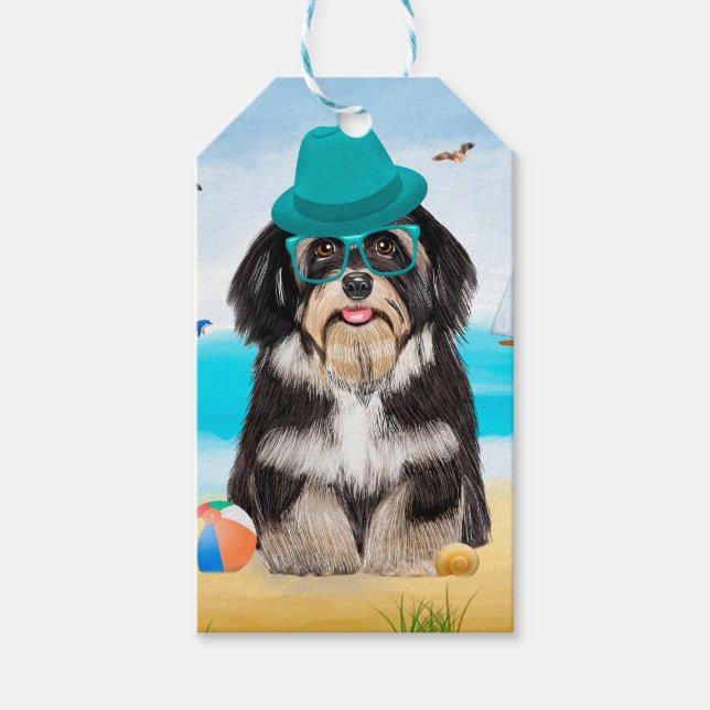 Havanese Hund on Beach Presentetikett (Framsidan)