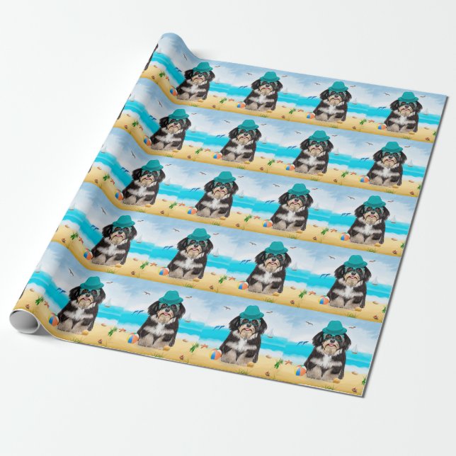 Havanese Hund on Beach Presentpapper (Utrullad)