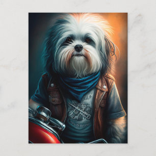 Havanese hund on Cycle Digital-målning Vykort