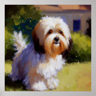 Havanese Hund Poster