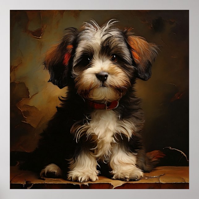 Havanese hund Puppy Realism Square Porträtt Poster (Framsidan)