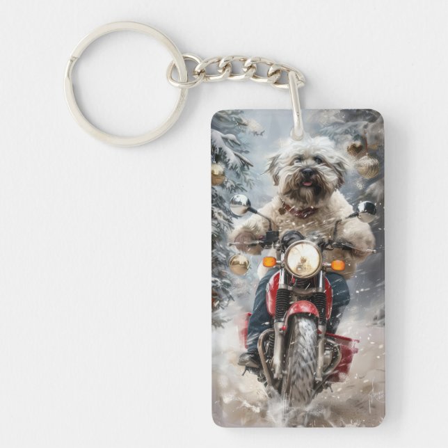 Havanese Hund Riding Motorcle jul (Framsidan)