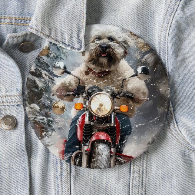 Havanese Hund Riding Motorcle jul Knapp (In Situ)