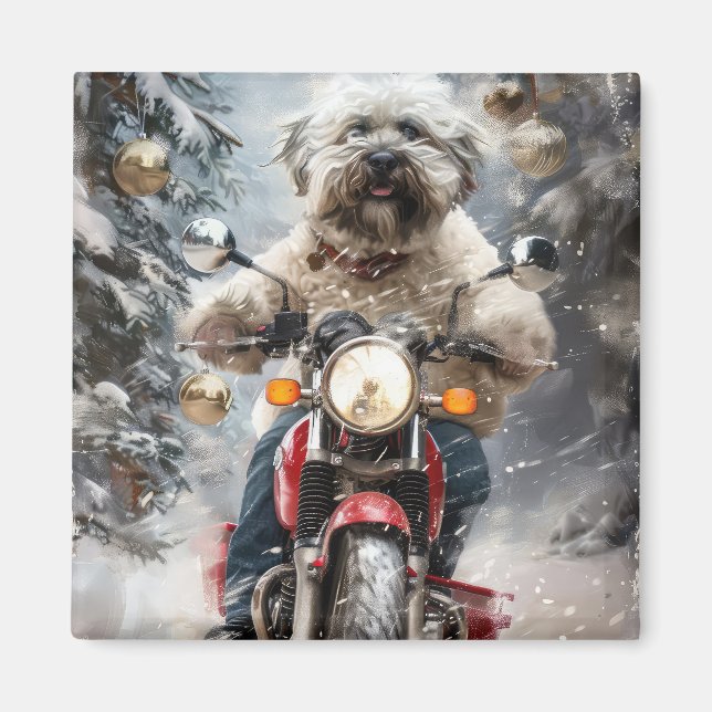 Havanese Hund Riding Motorcle jul Magnet (Framsidan)