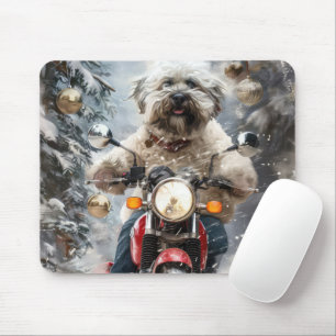 Havanese Hund Riding Motorcle jul Musmatta
