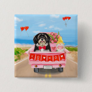 Havanese Hund Valentine Day Lastbil Knapp