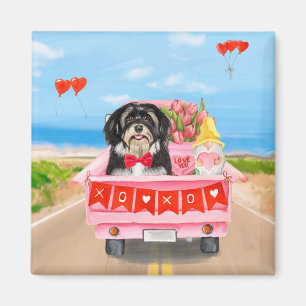 Havanese Hund Valentine Day Lastbil Magnet