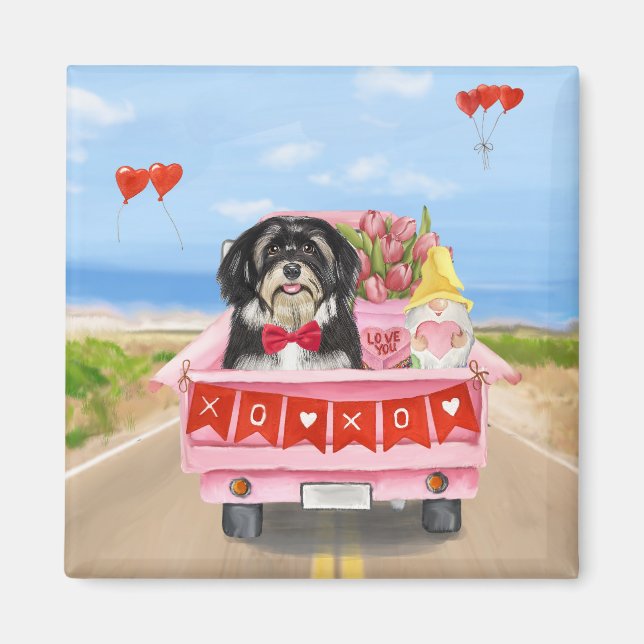 Havanese Hund Valentine Day Lastbil Magnet (Framsidan)