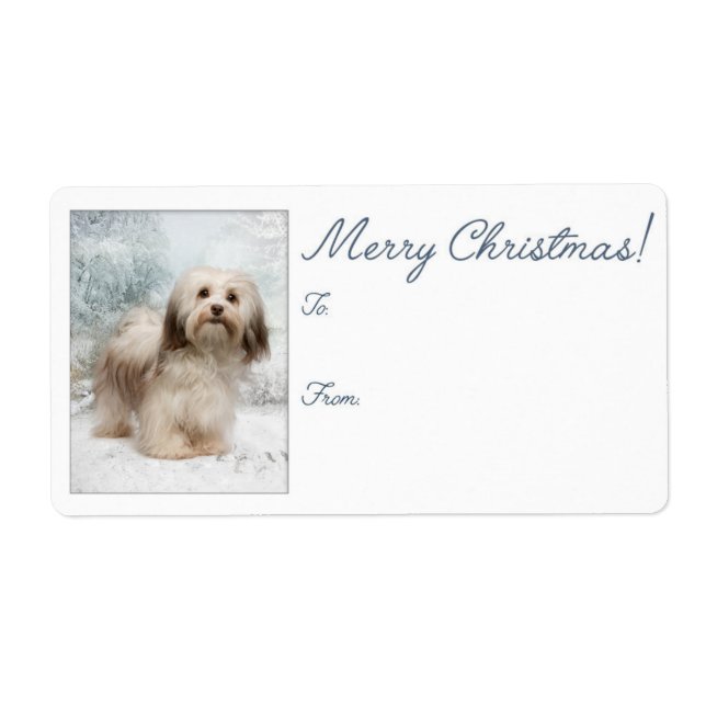 Havanese jul Gift Labels Fraktsedel (Framsidan)