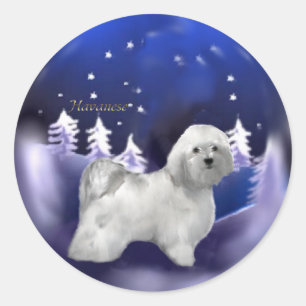 Havanese julgåvor runt klistermärke