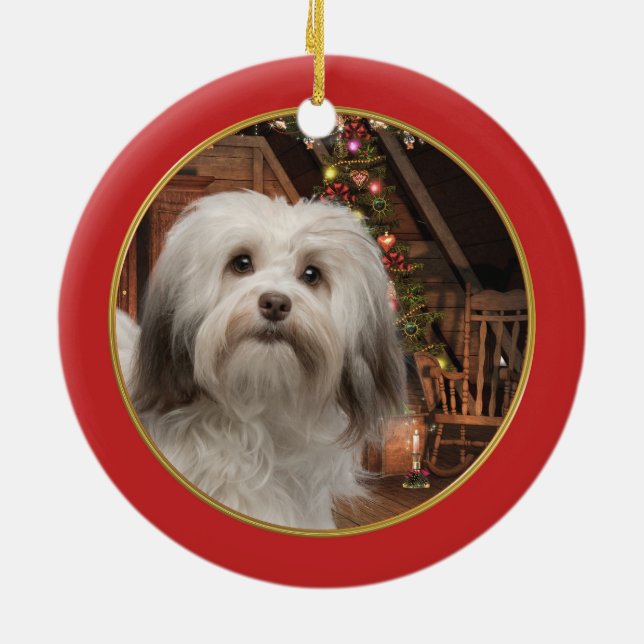 Havanese julprydnad julgransprydnad keramik (Baksidan)