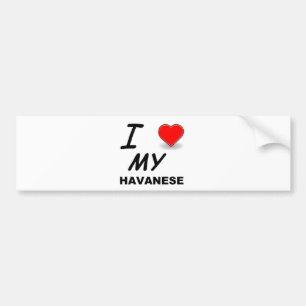havanese kärlek bildekal
