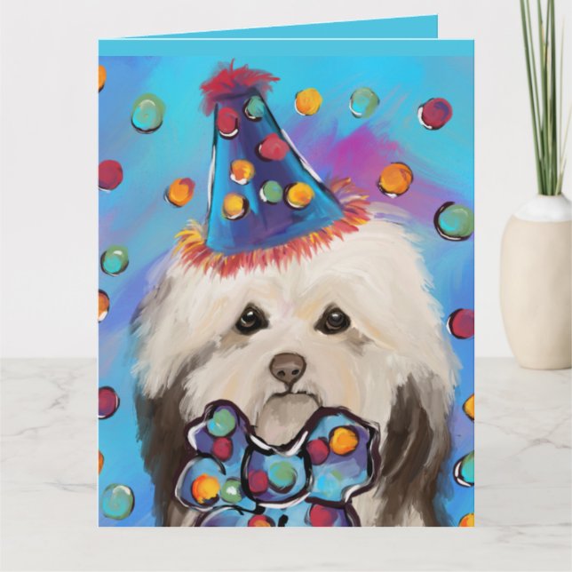 HAVANESE     KORT (Framsida)