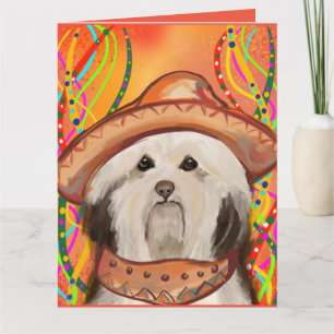 HAVANESE KORT