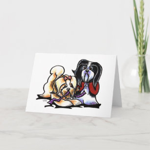 Havanese Lekkamrater Kort