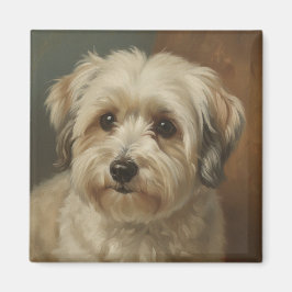 Havanese Magnet