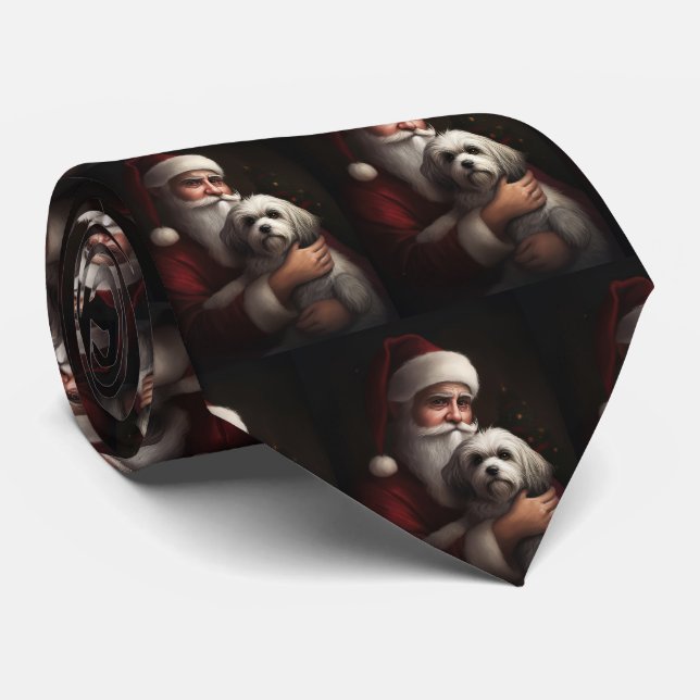 Havanese Med Tomte Festiv Jul Slips (Rullad)