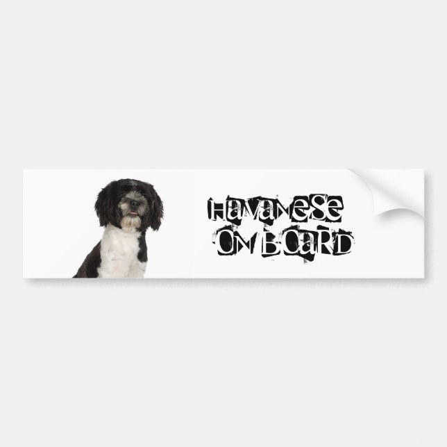 Havanese ombord bildekal (Framsidan)