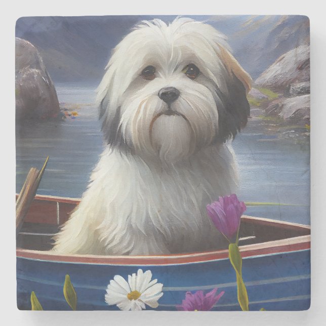 Havanese på åra: Ett naturskönt äventyr Stenunderlägg (Framsidan)
