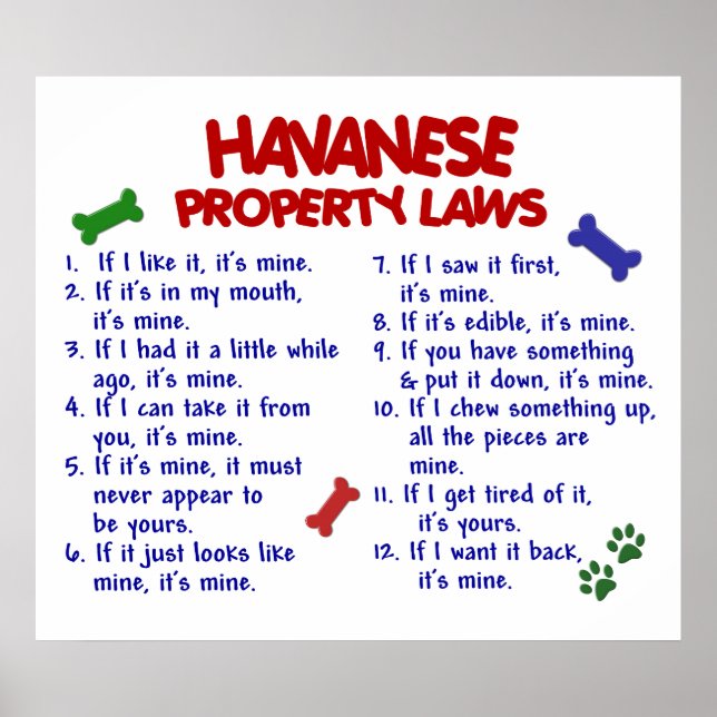 HAVANESE PL2 POSTER (Framsidan)