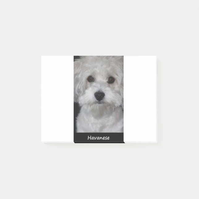 Havanese Post-it Block (Framsida)