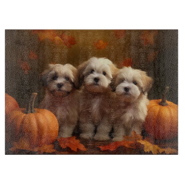 Havanese Puppy Autumn Delight Pumpkin (Framsidan)