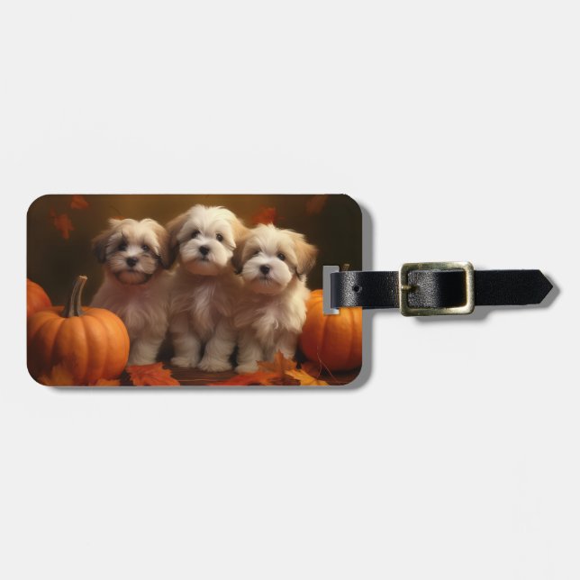 Havanese Puppy Autumn Delight Pumpkin Bagagebricka (Horisontell Framsida)