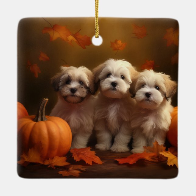 Havanese Puppy Autumn Delight Pumpkin Julgransprydnad Keramik (Baksida)