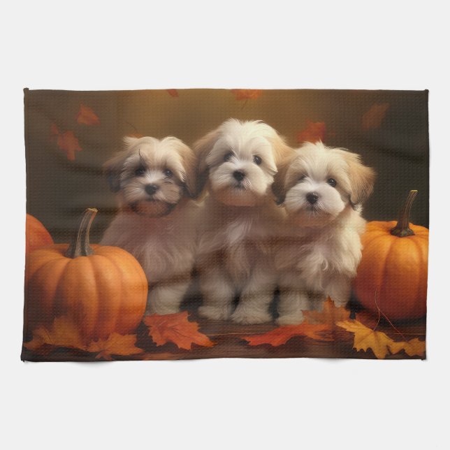 Havanese Puppy Autumn Delight Pumpkin Kökshandduk (Horisontell)