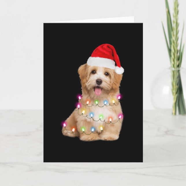 Havanese puppy christmas gift for her kort (Framsida)