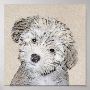 Havanese Puppy Painting - Cute Original Dog Art Poster