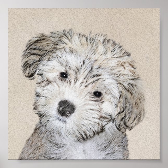 Havanese Puppy Painting - Cute Original Dog Art Poster (Framsidan)