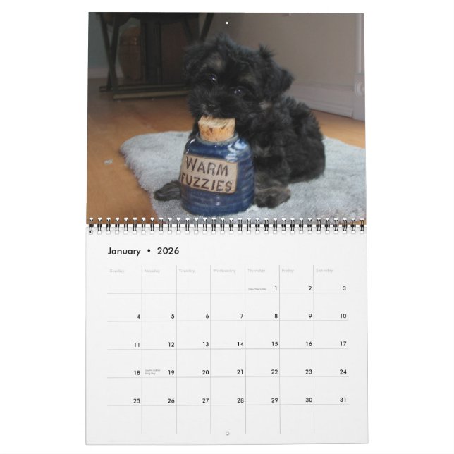 Havanese Rädding Puppies Calendar 2012 Kalender (Jan 2026)