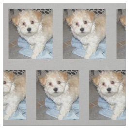 Havanese rädding Puppt Tyg
