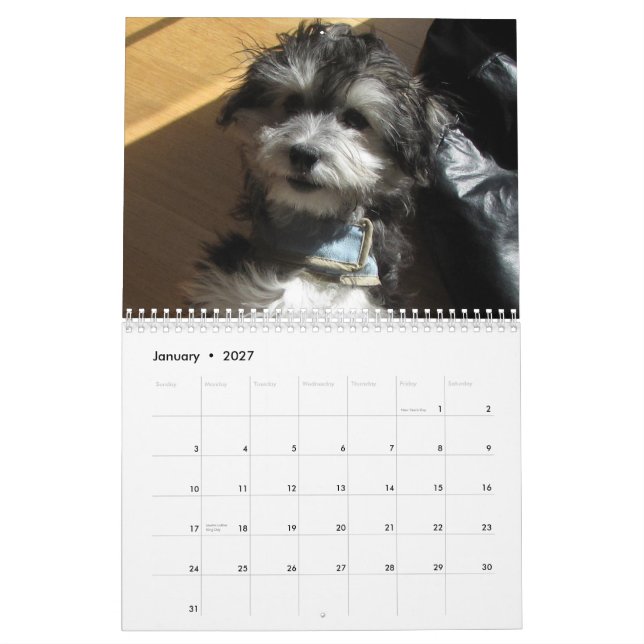 Havanese räddingkalender kalender (Jan 2027)