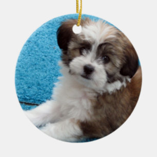 Havanese räddingvalp julgransprydnad keramik