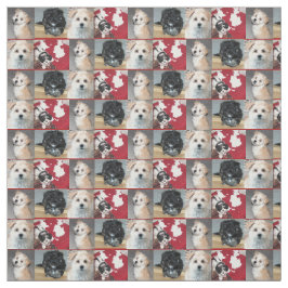 Havanese räddingvalpar tyg