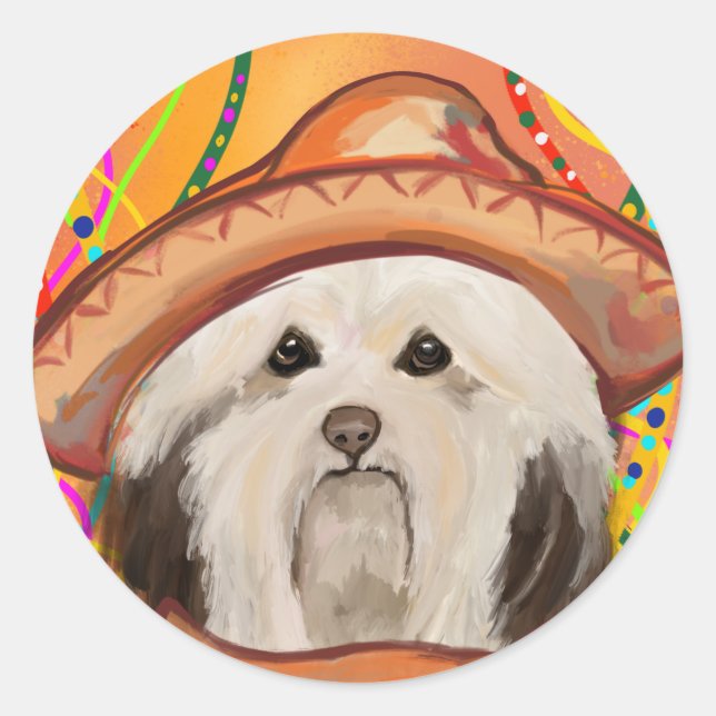 HAVANESE       RUNT KLISTERMÄRKE (Framsida)