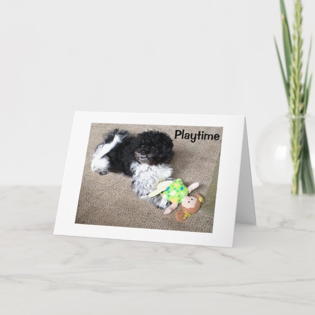 HAVANESE SÄGER ATT JAG SKULLE KUNNA SPELA MED OSS  KORT (Framsida)