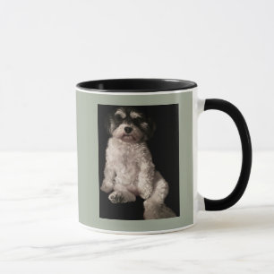 Havanese-sätt din hund bild här mugg