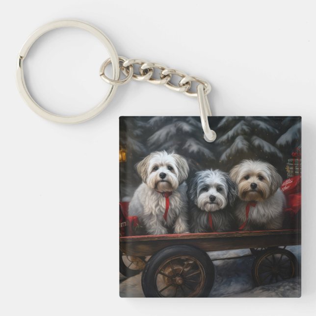 Havanese Snowy Sleigh-juldekalor (Framsidan)