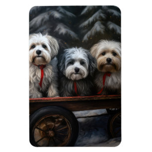 Havanese Snowy Sleigh-juldekalor Magnet