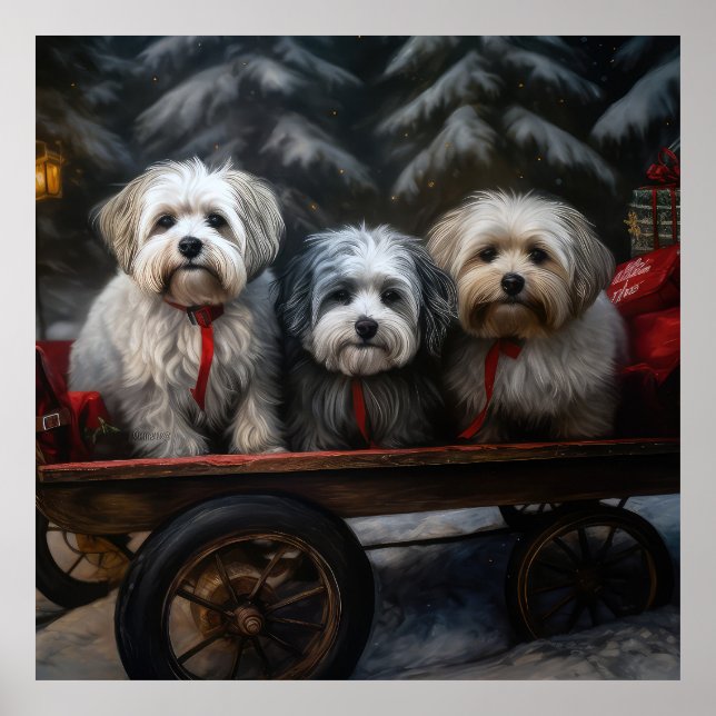 Havanese Snowy Sleigh-juldekalor Poster (Framsidan)