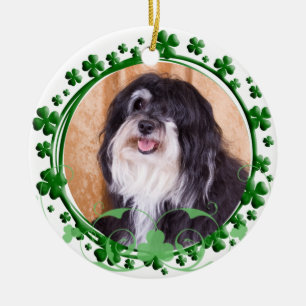 Havanese St Patrick dagprydnad Julgransprydnad Keramik