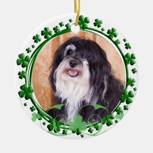 Havanese St Patrick dagprydnad Julgransprydnad Keramik (Framsidan)