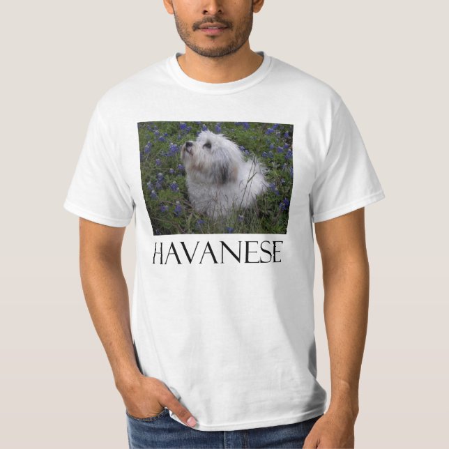 HAVANESE T-SHIRT (Framsida)